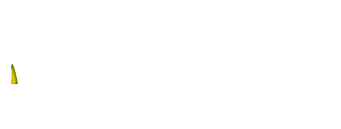 HALIMTOTO